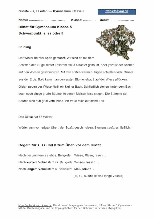 Diktat für das Gymnasium Klasse 5 zu e oder ä, eu oder äu.