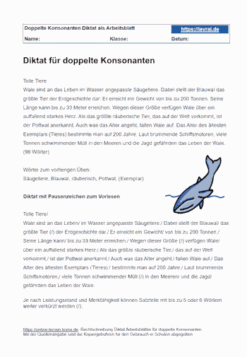 Übungen zu doppelten Konsonanten