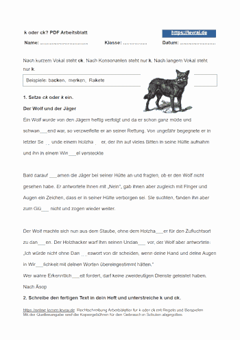 K oder ck Arbeitsblatt - k und ck richtig eintragen.