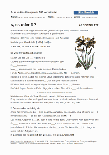 Arbeitsblatt für s und ss. Schreibt man s oder ss?