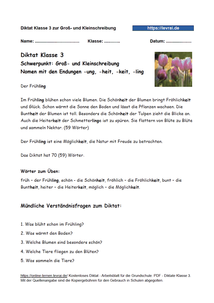 Diktat für Klasse 3 zur Groß- und Kleinschreibung