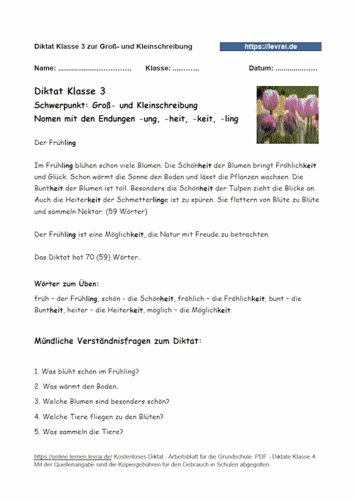 Diktat zur Groß- und Kleinschreibung in Klasse 4.