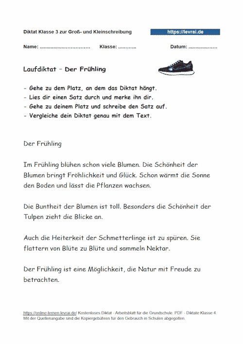 Laufdiktat für Klassse 3 zu den Endungen von Nomen.