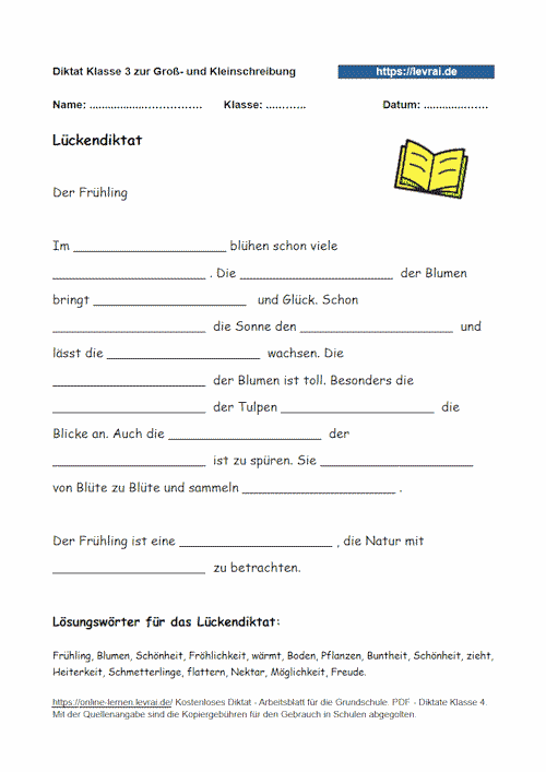 Lückendiktat zu Nomen und ihren Endungen.