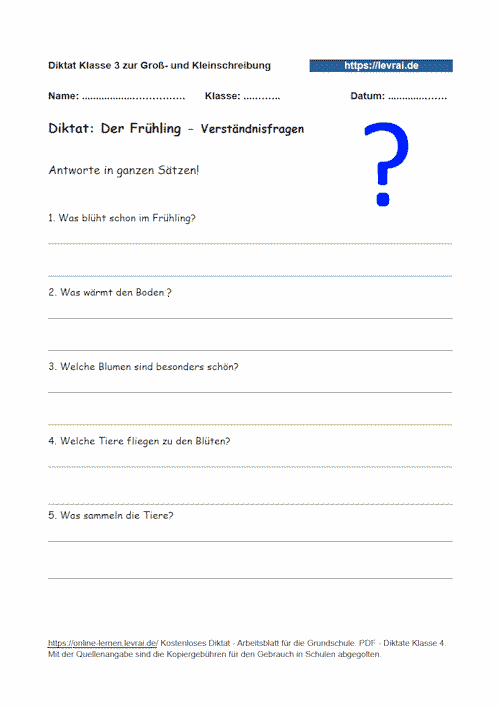 Verständnisfragen zum Diktat für die Grundschule zu Nomen.