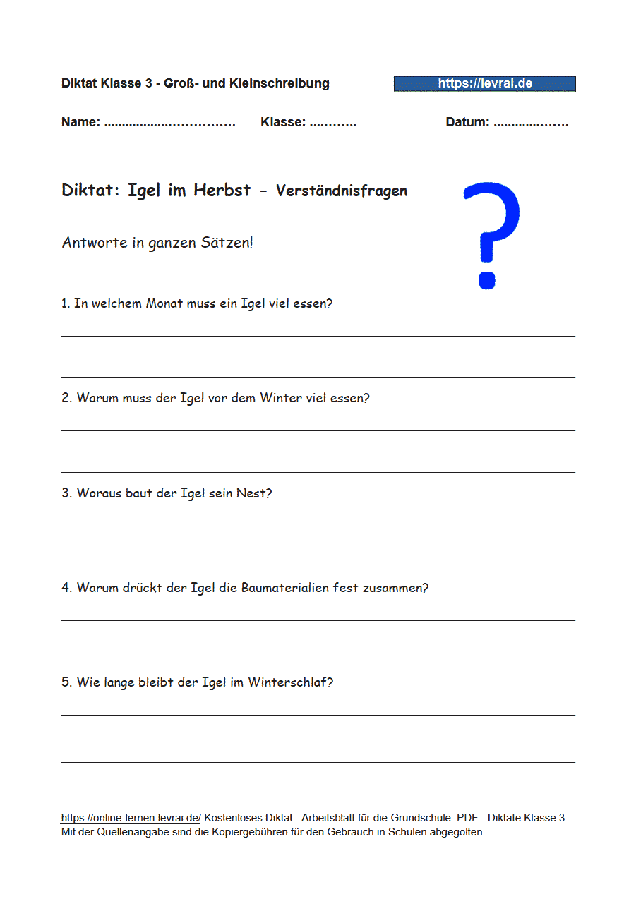 Diktat für Klasse 3 zur Groß- und Kleinschreibung