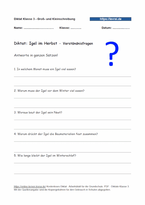Lückendiktat zu Nomen, Verben, Adjektiven für die Groß- und Kleinschreibung.