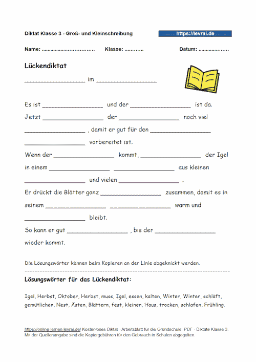 Wurmdiktat für die Grundschule zum Schwerpunkt Groß- und Kleinschreibung.