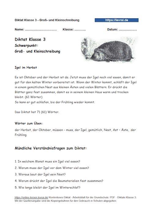 Diktat in Klasse 3 zu Nomen und ihren Endungen.