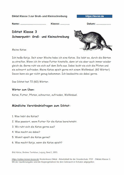 Diktate für die Grunschule in Klasse 3 und Klasse 4.