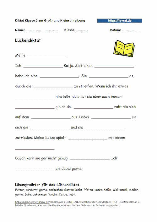 Lückendiktat zur Groß- Kleinschreibung in Klasse 3.
