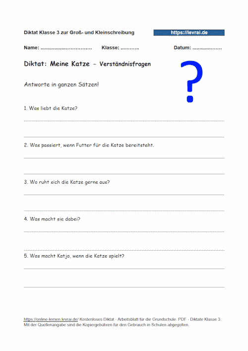 Verständnisfragen zum Diktat für die Grundschule zur Groß- und Kleinschreibung.