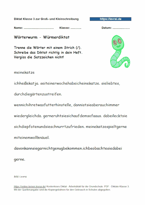 Wurmdiktat, Klasse, zum Schwerpunkt Groß- und Kleinschreibung.