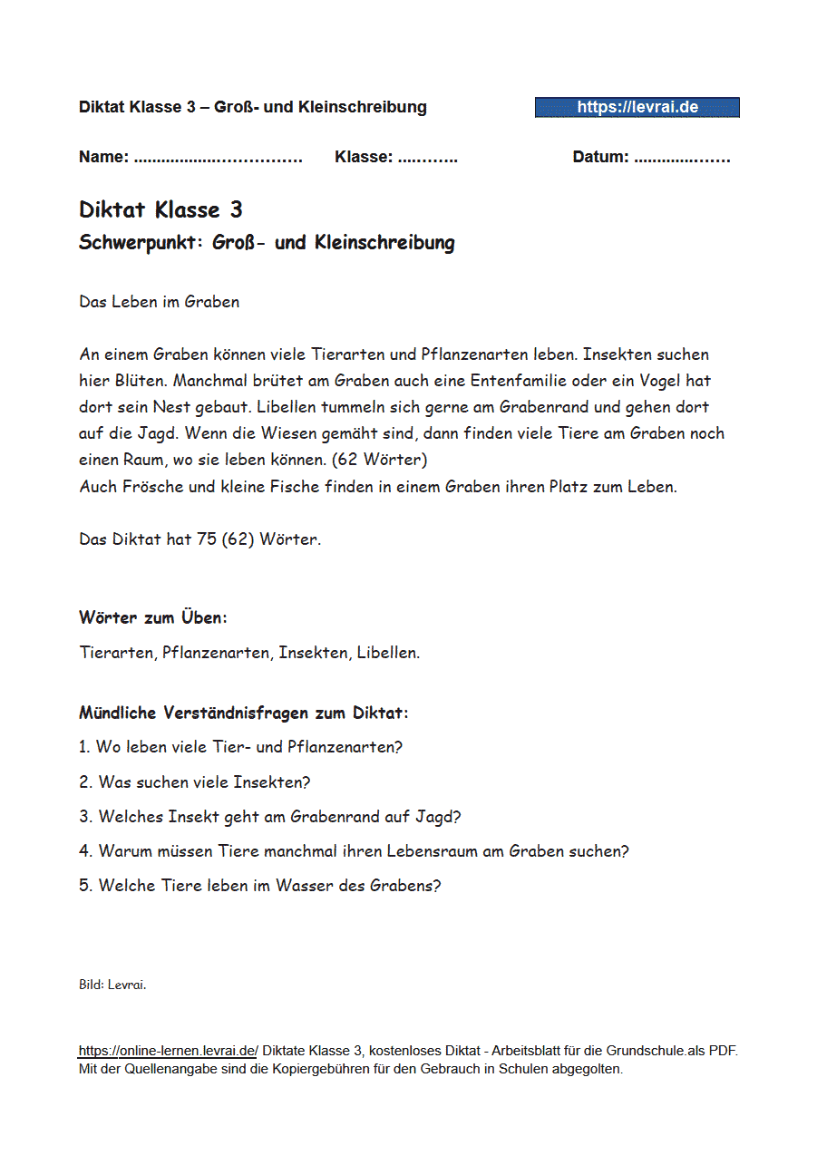 Klasse 3 Diktat mit Schwerpunkt Groß- und Kleinschreibung