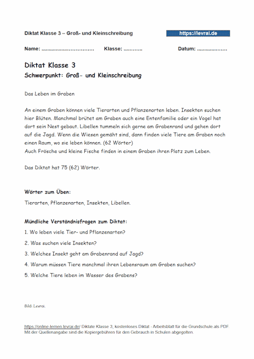 Diktat in Klasse 3 zu s, ss und ß als Arbeitsblatt.