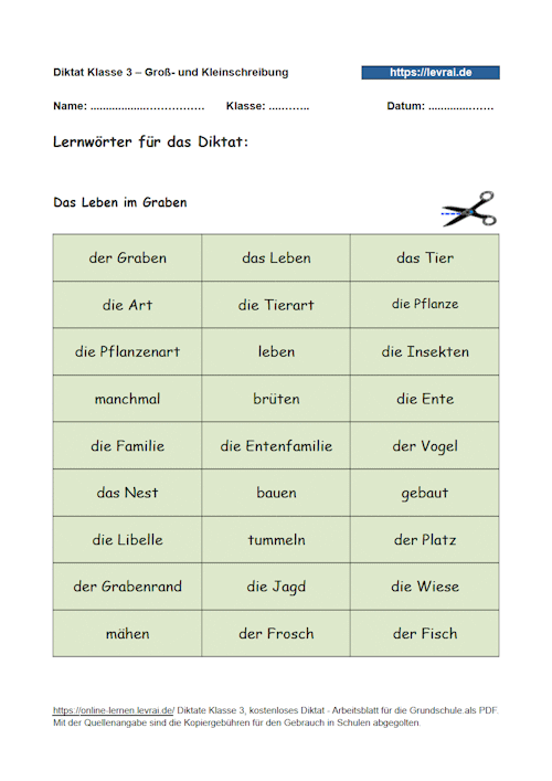 Lernwörter mit Nomen, Verben und Adjektiven zur Groß- und Kleinschreibung.