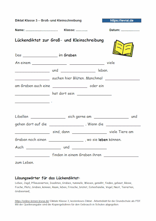 Lückendiktat zum Diktat, Groß- Kleinschreibung.