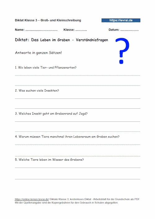Verständnisfragen zum Diktat für die Grundschule zu Nomen, Verben und Adjektiven.