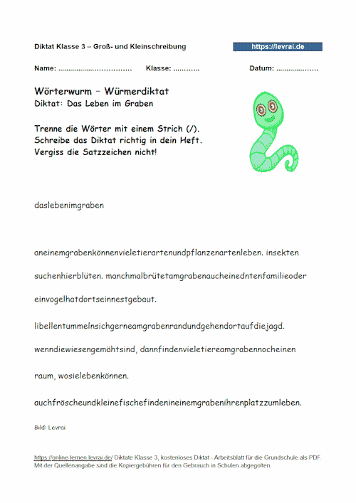Wurmdiktat und Schlangendiktat für Klasse 3 zum Schwerpunkt Groß- und Kleinschreibung.