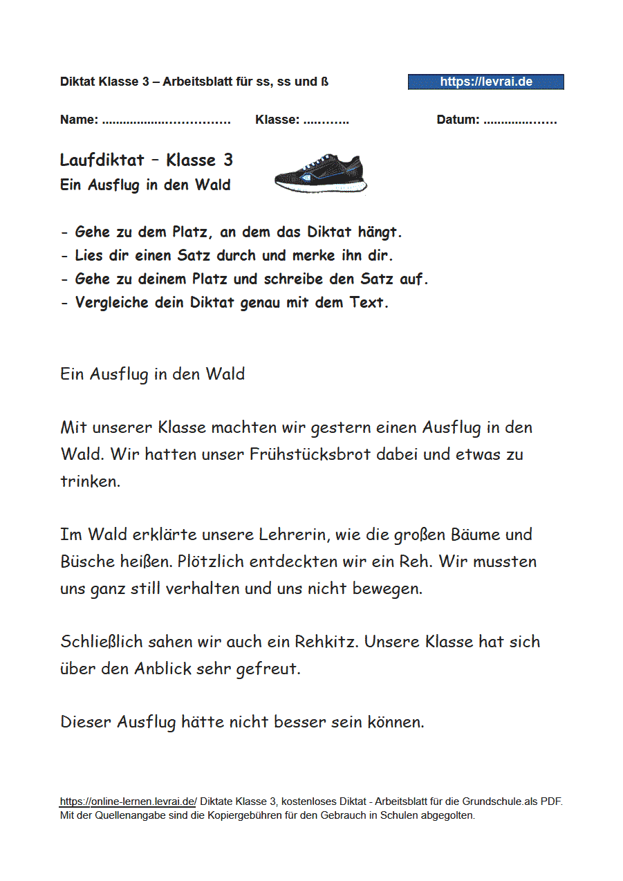 Diktat für Klasse 3 zu s, ss und ß