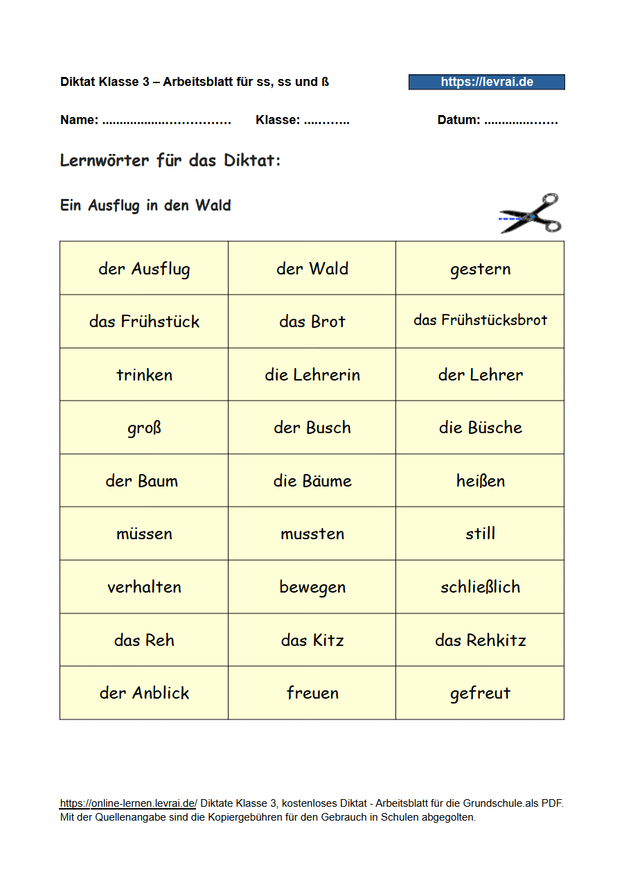 Diktat für Klasse 3 zu s, ss und ß