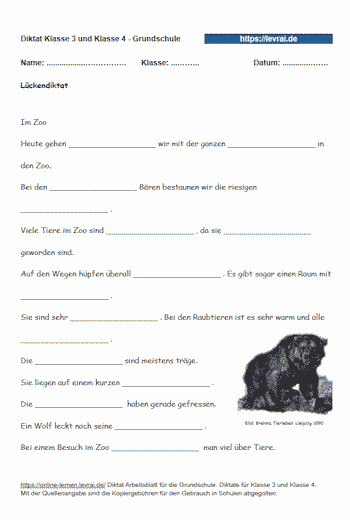 Diktate für Klasse 4 zu z oder tz