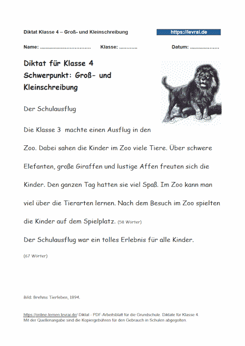 Diktat für Klasse 4 zur Groß- und Kleinschreibung.
