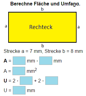 Umfang und Fläche von Recheck und Quadrat berechnen.